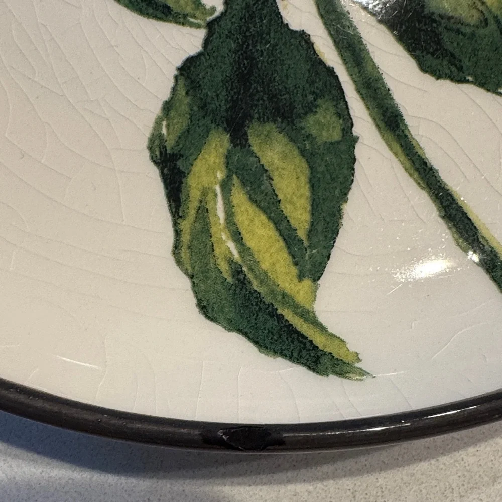 Crate&Barrel Botanical Dinnerware Set - Cream and Green 1 plate has small chips